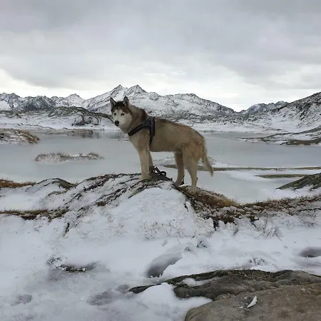Hotel Astoria Ulrichen