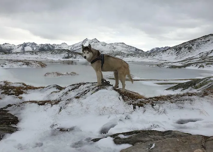 Hotel Astoria Ulrichen